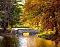 Bridge fall