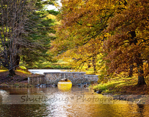 Bridge fall